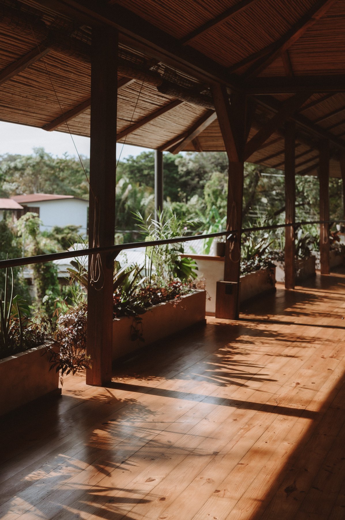 Wooden balcony walkway around the studio surrounded by tropical greenery