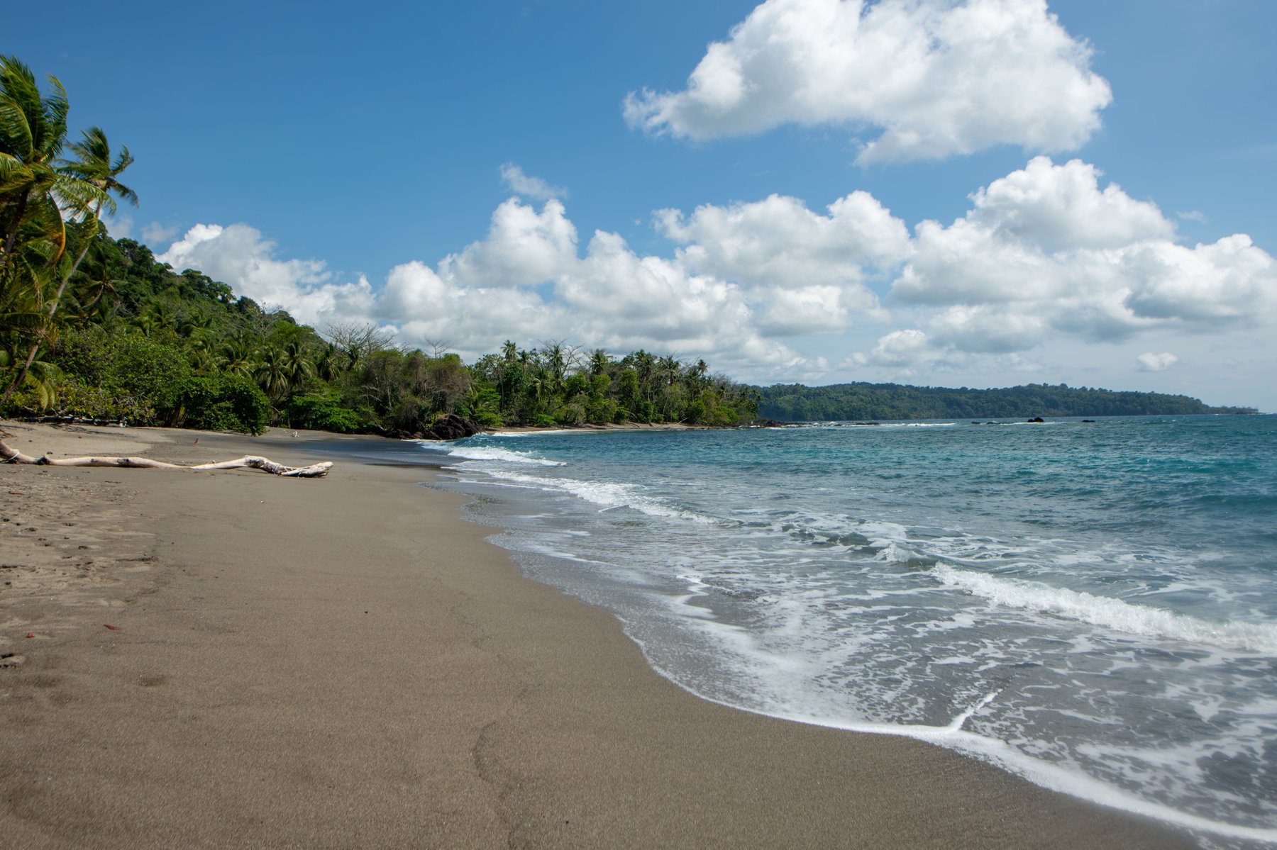 A quiet Costa Rica beach with driftwood and turquoise water