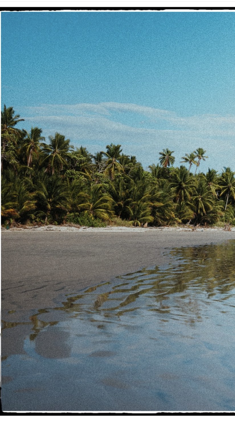 A film-style photo of palm trees reflected in wet sand at low tide